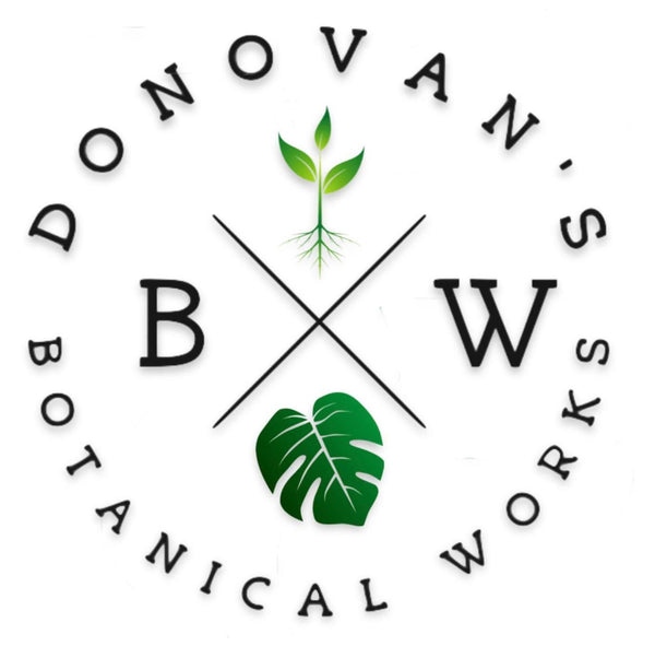 D BOTANICAL WORKS